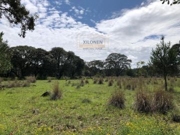 Rancho Privilegiado de 40 Hectáreas con Bella Ecología ( árboles de encinos, robles, ocotes y eucaliptos) y planicies. Delimitado totalmente.
