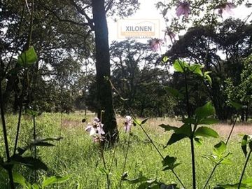 Rancho Privilegiado de 40 Hectáreas con Bella Ecología ( árboles de encinos, robles, ocotes y eucaliptos) y planicies. Delimitado totalmente.