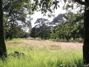 Rancho Privilegiado de 40 Hectáreas con Bella Ecología ( árboles de encinos, robles, ocotes y eucaliptos) y planicies. Delimitado totalmente.