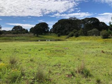 Rancho Privilegiado de 40 Hectáreas con Bella Ecología ( árboles de encinos, robles, ocotes y eucaliptos) y planicies. Delimitado totalmente.