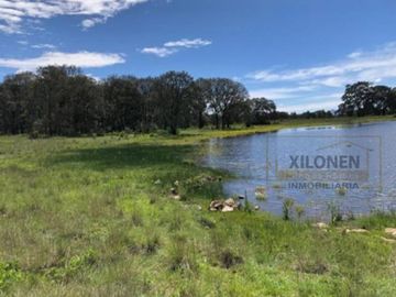 Rancho Privilegiado de 40 Hectáreas con Bella Ecología ( árboles de encinos, robles, ocotes y eucaliptos) y planicies. Delimitado totalmente.