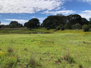 Rancho Privilegiado de 40 Hectáreas con Bella Ecología ( árboles de encinos, robles, ocotes y eucaliptos) y planicies. Delimitado totalmente.
