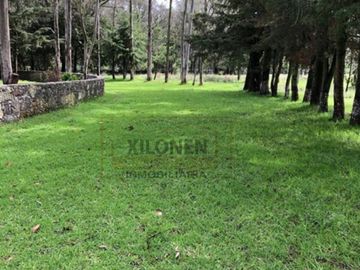 Rancho Privilegiado de 40 Hectáreas con Bella Ecología ( árboles de encinos, robles, ocotes y eucaliptos) y planicies. Delimitado totalmente.