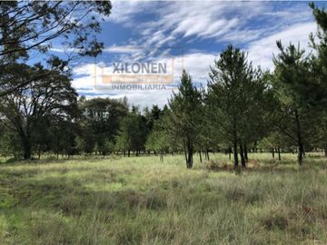 Rancho Privilegiado de 40 Hectáreas con Bella Ecología ( árboles de encinos, robles, ocotes y eucaliptos) y planicies. Delimitado totalmente.