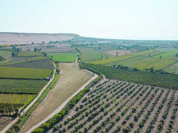 Venta De Terreno En Herbay Alto En San Vicente De Cañete