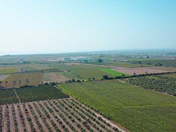 Venta De Terreno En Herbay Alto En San Vicente De Cañete