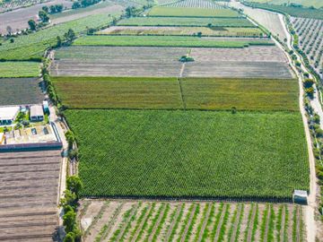 Venta De Terreno En Herbay Alto En San Vicente De Cañete