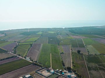 Venta De Terreno En Herbay Alto En San Vicente De Cañete