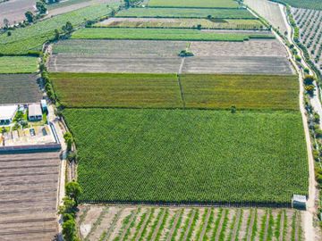 Venta De Terreno En Herbay Alto En San Vicente De Cañete