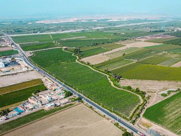 Venta De Terreno En Herbay Alto En San Vicente De Cañete