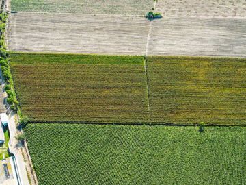 Venta De Terreno En Herbay Alto En San Vicente De Cañete