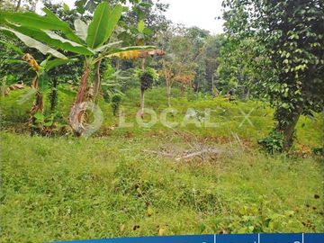 Tanah / Kavling KP. Cipeusing Cibeber, Cianjur, Jawa Barat