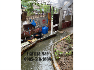 HOUSE AND LOT FOR SALE IN NATIVIDAD SUBDIVISION PH1, DEPARO CALOOCAN CITY