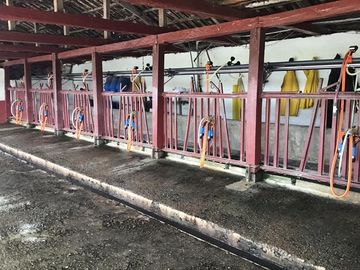 CAYAMBE HACIENDA DE VENTA 63 hectáreas
