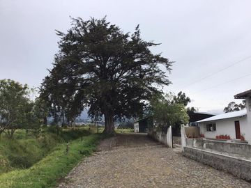 CAYAMBE HACIENDA DE VENTA 63 hectáreas