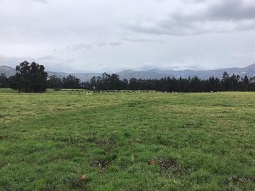 CAYAMBE HACIENDA DE VENTA 63 hectáreas