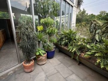 Exclusivo Departamento de Lujo en San Miguel Chapultepec