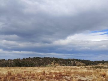 EN VENTA PARCELA CON CASA EN PUNTA ARENAS, SECTOR LEÑADURA