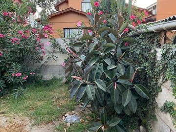 Hermosa Casa en Venta | Sector Sindempart 🏠 🌳