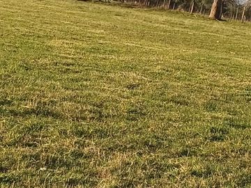 Se vende parcela en sector Linguento, entrada norte de Valdivia