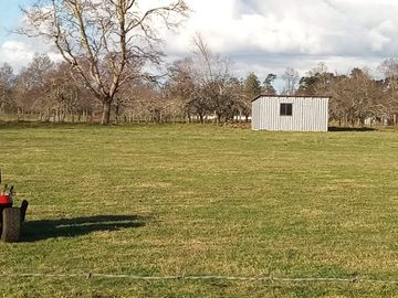 Se vende parcela en sector Linguento, entrada norte de Valdivia