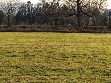 Se vende parcela en sector Linguento, entrada norte de Valdivia