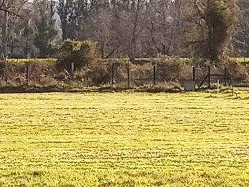 Se vende parcela en sector Linguento, entrada norte de Valdivia