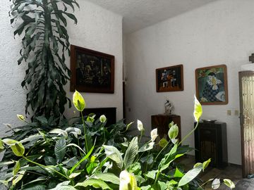 Bellísima Casa en Calle Privada con Vista Al Bosque en Lomas Anáhuac.