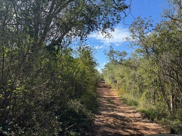 Rancho en venta en Acanceh