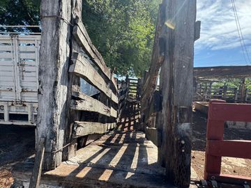 Rancho en venta en Acanceh