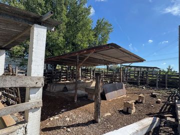 Rancho en venta en Acanceh