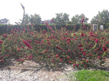 Venta de terreno en Condominio Alto Pradera Km 100 al Sur