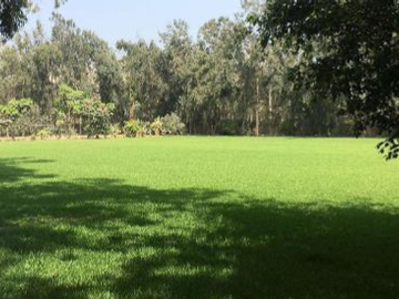 Cieneguilla - Terreno de Campo en venta