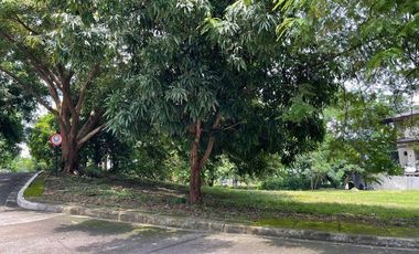 550 SQM Corner Residential Lot for Sale in Batangas City at Peninsula De Punta Fuego