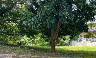 550 SQM Corner Residential Lot for Sale in Batangas City at Peninsula De Punta Fuego