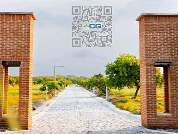 Lotes en VENTA Ubicados en Riachuelos, la zona mas exclusiva de Costa esmeralda, Municipio de Tecolutla, Ver.