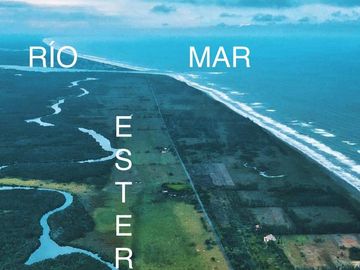 Lotes en VENTA Ubicados en Riachuelos, la zona mas exclusiva de Costa esmeralda, Municipio de Tecolutla, Ver.