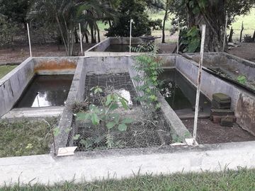 VENDO RANCHO EN EL MUNICIPIO JAMAPA VERACRUZ
