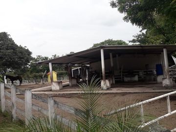 VENDO RANCHO EN EL MUNICIPIO JAMAPA VERACRUZ