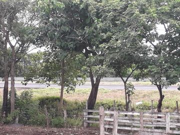 VENDO RANCHO EN EL MUNICIPIO JAMAPA VERACRUZ