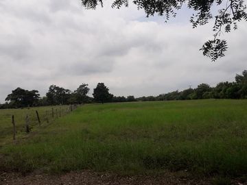 VENDO RANCHO EN EL MUNICIPIO JAMAPA VERACRUZ