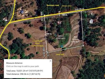 10,000 sqm farm lot with fruit-bearing trees  for sale near the town of Jordan, Guimaras