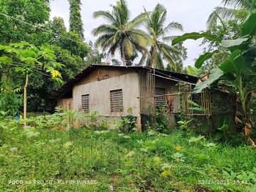 10,000 sqm farm lot with fruit-bearing trees  for sale near the town of Jordan, Guimaras
