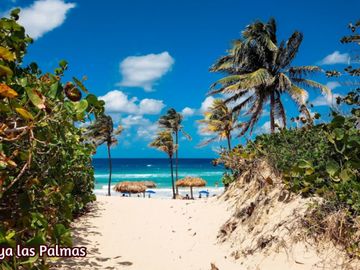 Penthouse con Terraza Privada y Plunge Pool en Venta en Tulum