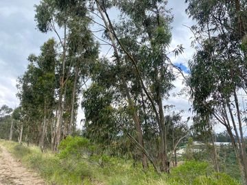 En Venta Terreno en Tabacundo