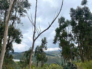 En Venta Terreno en Tabacundo