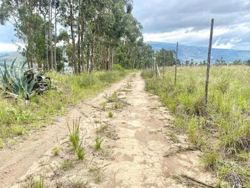 En Venta Terreno en Tabacundo