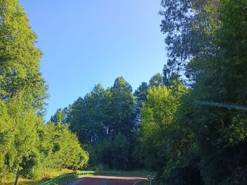Venta Parcela en Riñible, a orillas del Lago Ranco