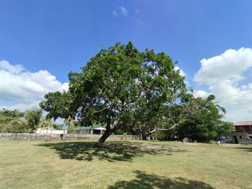 FOR SALE - BEACH HOUSE AT ADAM'S CALATAGAN BEACH CAMP