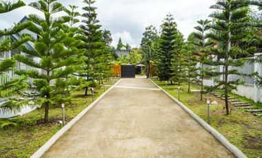 3,000 sqm House and Lot for Sale in Amadeo, Cavite, Tagaytay | Resort Property
